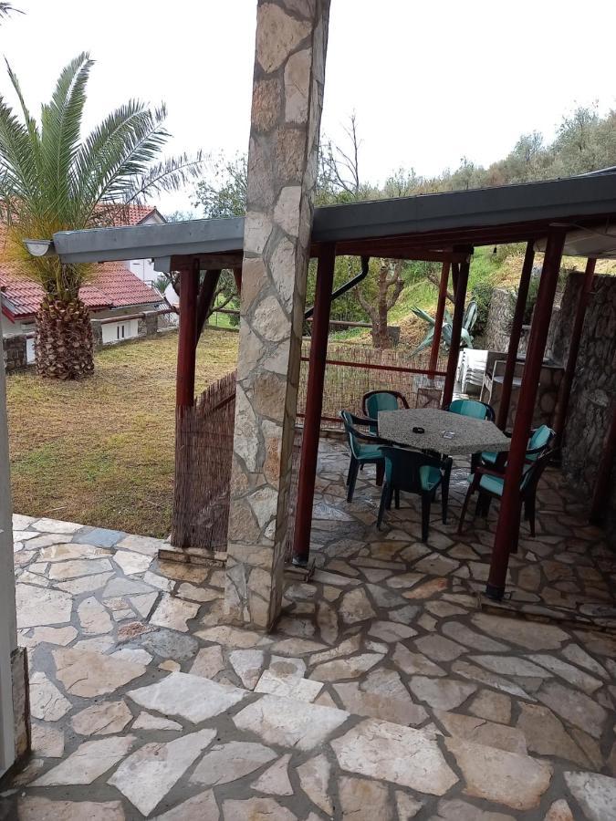 Jankovic Tivat
