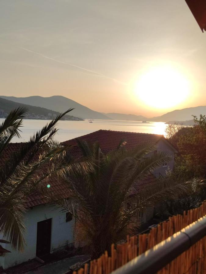 Jankovic Tivat