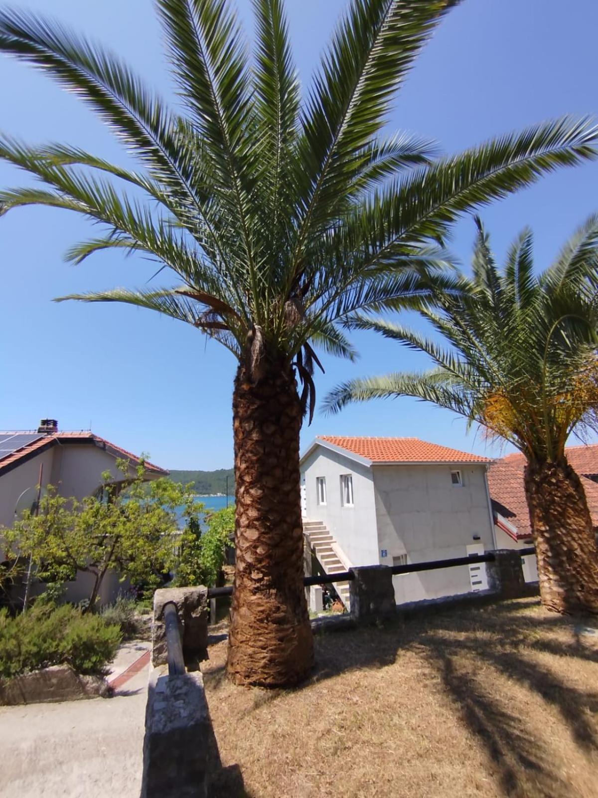 Jankovic Apartment Tivat