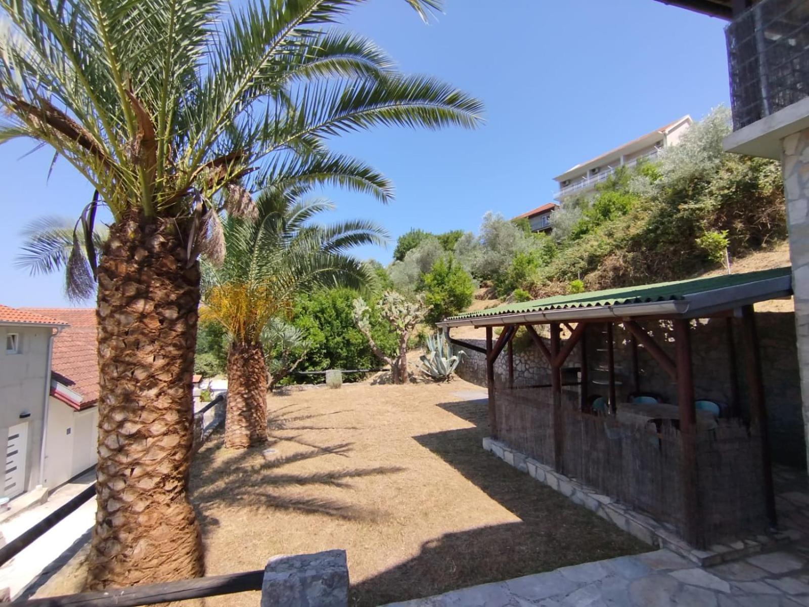 Jankovic * Tivat